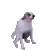 :doggo: