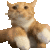 :keyboardcat: