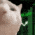 :stonkscat: